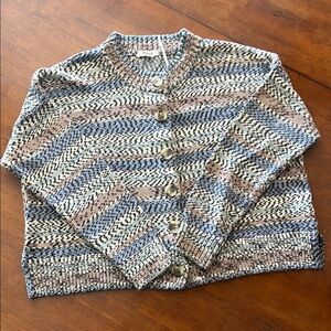 Madewell Blue and Cream Cardigan Sweater Chunky Knit